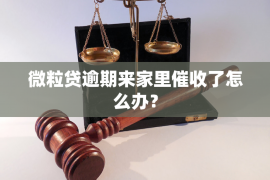 湘东融资清欠服务